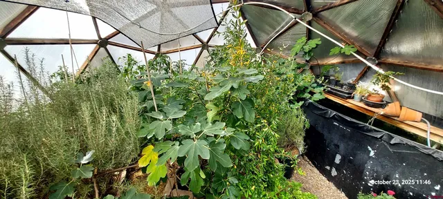 $389,000 | 1877 Wilking Road, Fort Garland, CO 81133