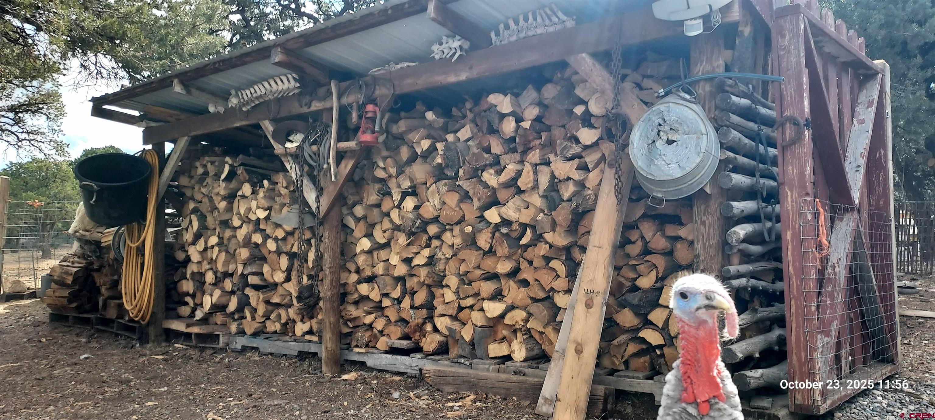 1877 Wilking Road Fort Garland, CO 81133 - Photo 40 of 45