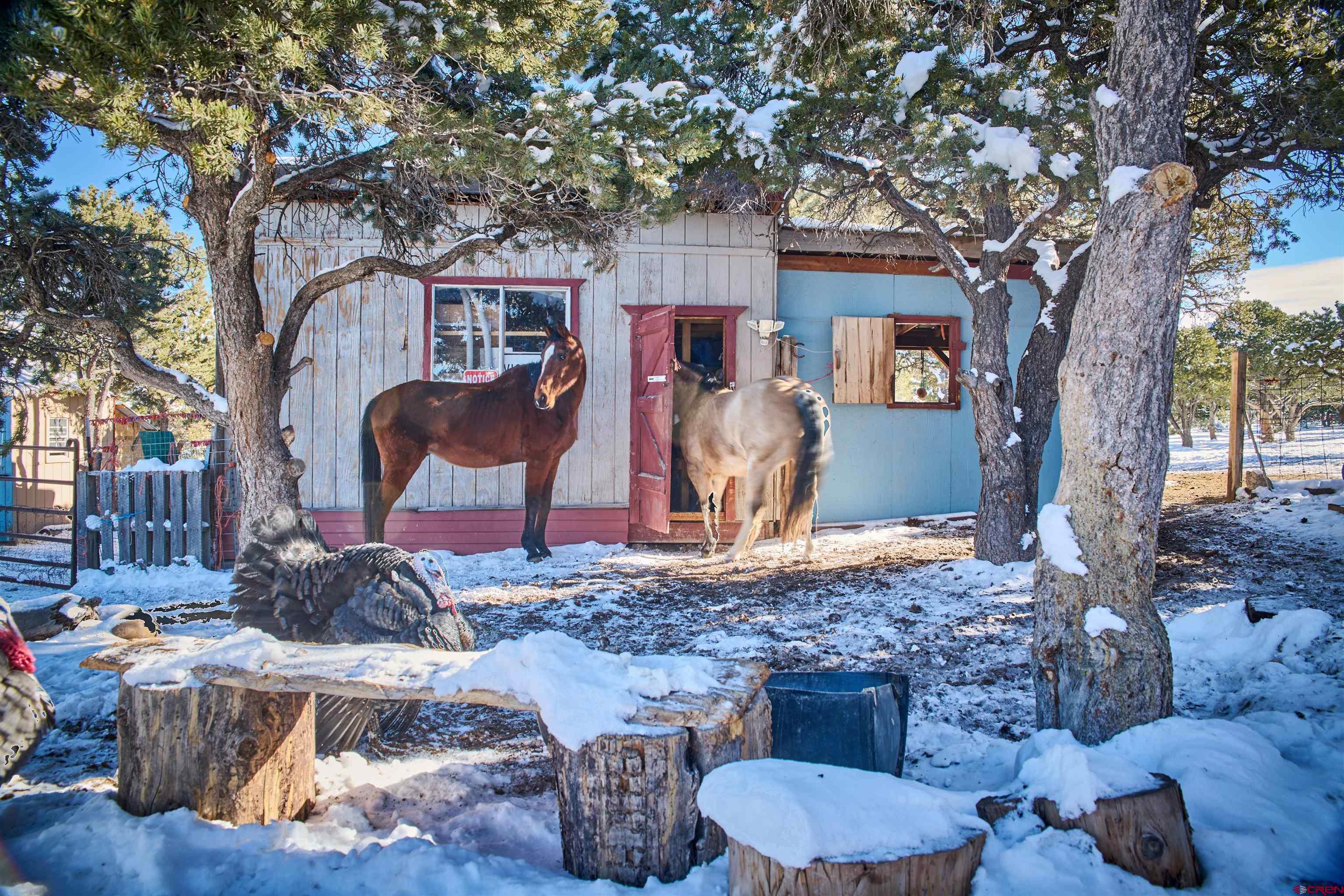 1877 Wilking Road Fort Garland, CO 81133 - Photo 4 of 45