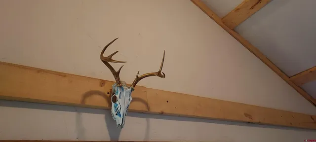 $389,000 | 1877 Wilking Road, Fort Garland, CO 81133