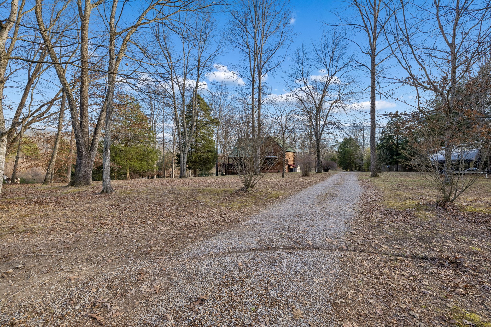 20151 Ben Fly Road Lyles, TN 37098 - Photo 3 of 98