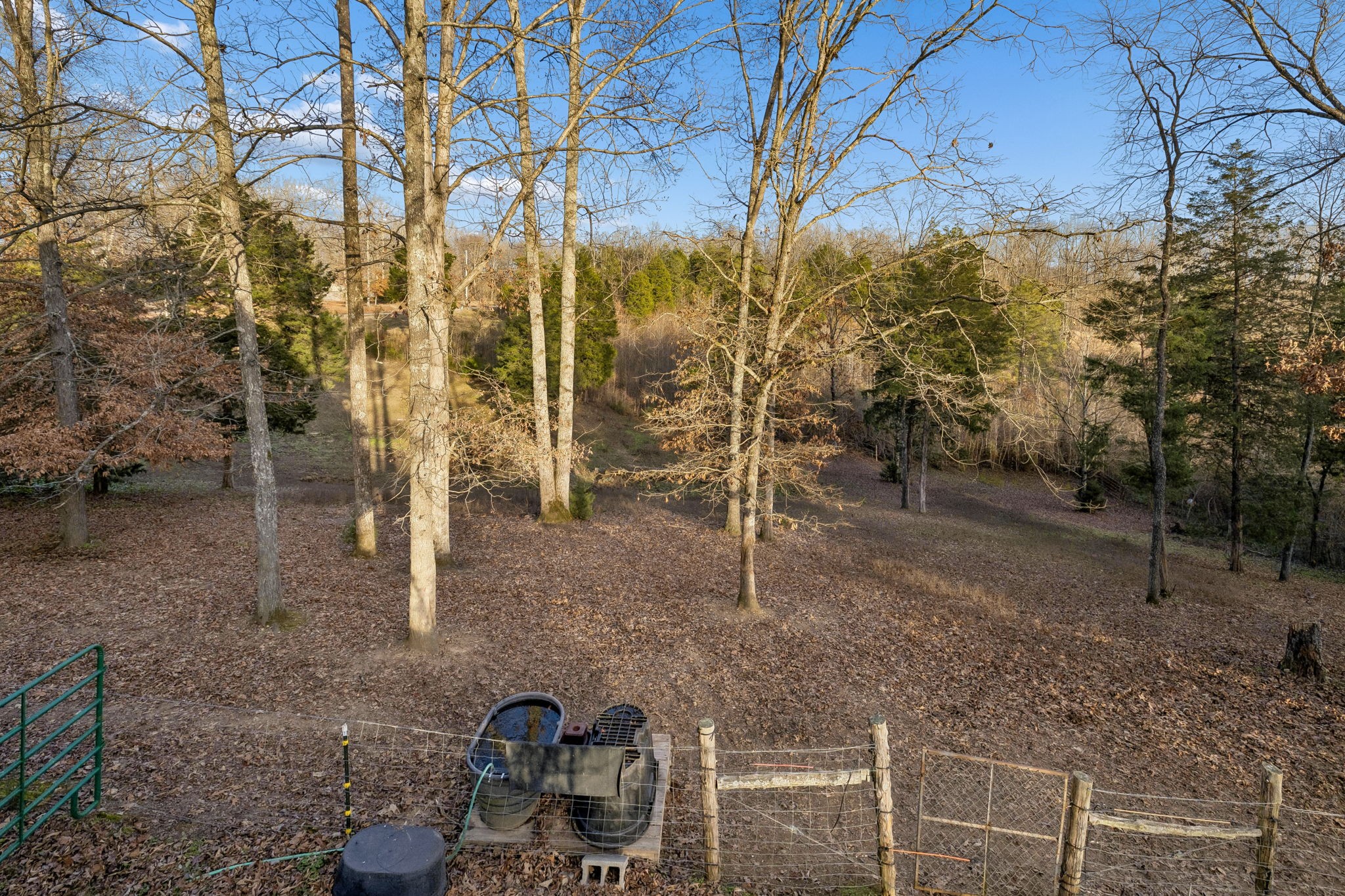 20151 Ben Fly Road Lyles, TN 37098 - Photo 66 of 98 a backyard of a house with lots of green space