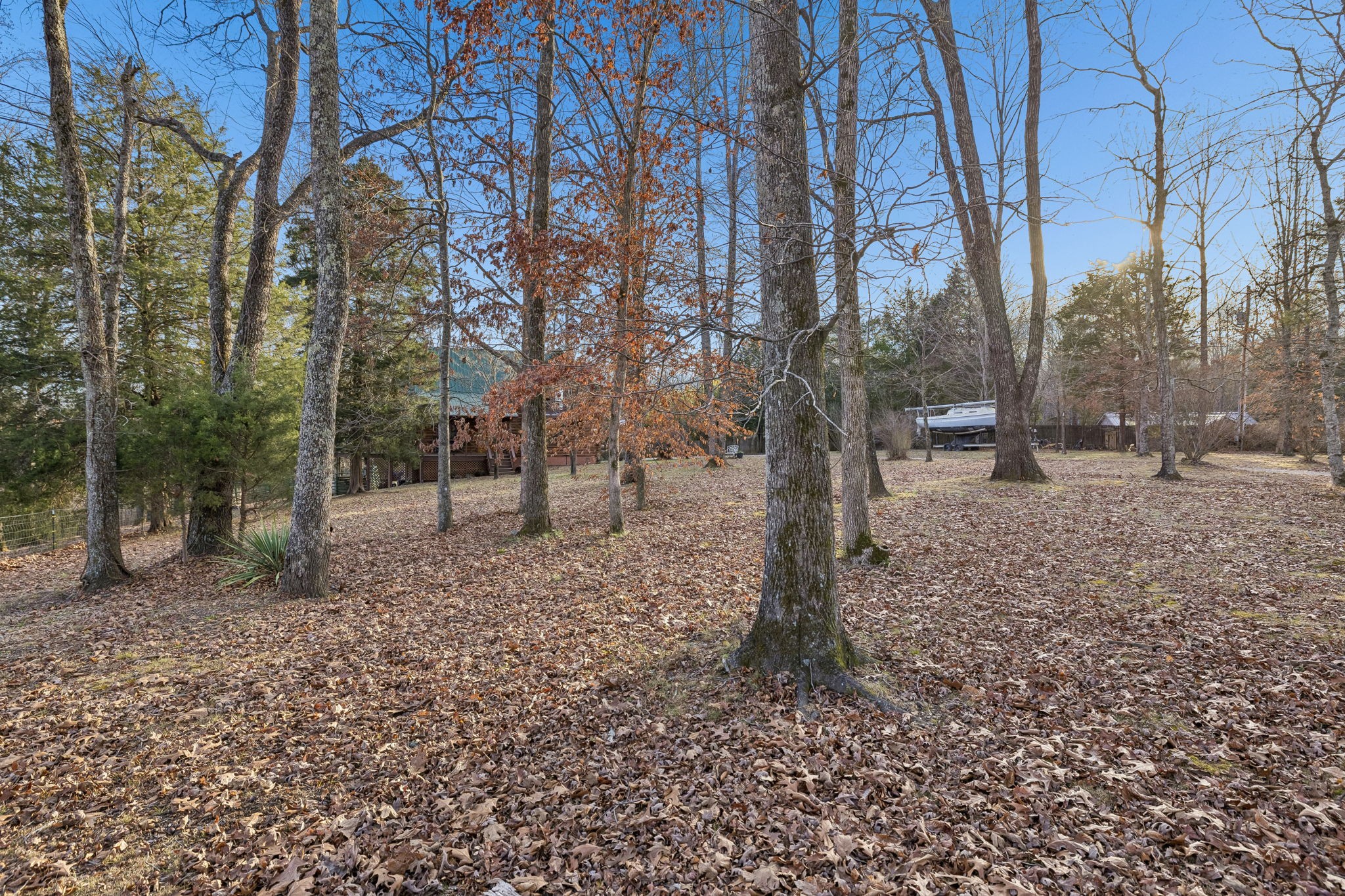 20151 Ben Fly Road Lyles, TN 37098 - Photo 68 of 98 a view of outdoor space with lots of trees
