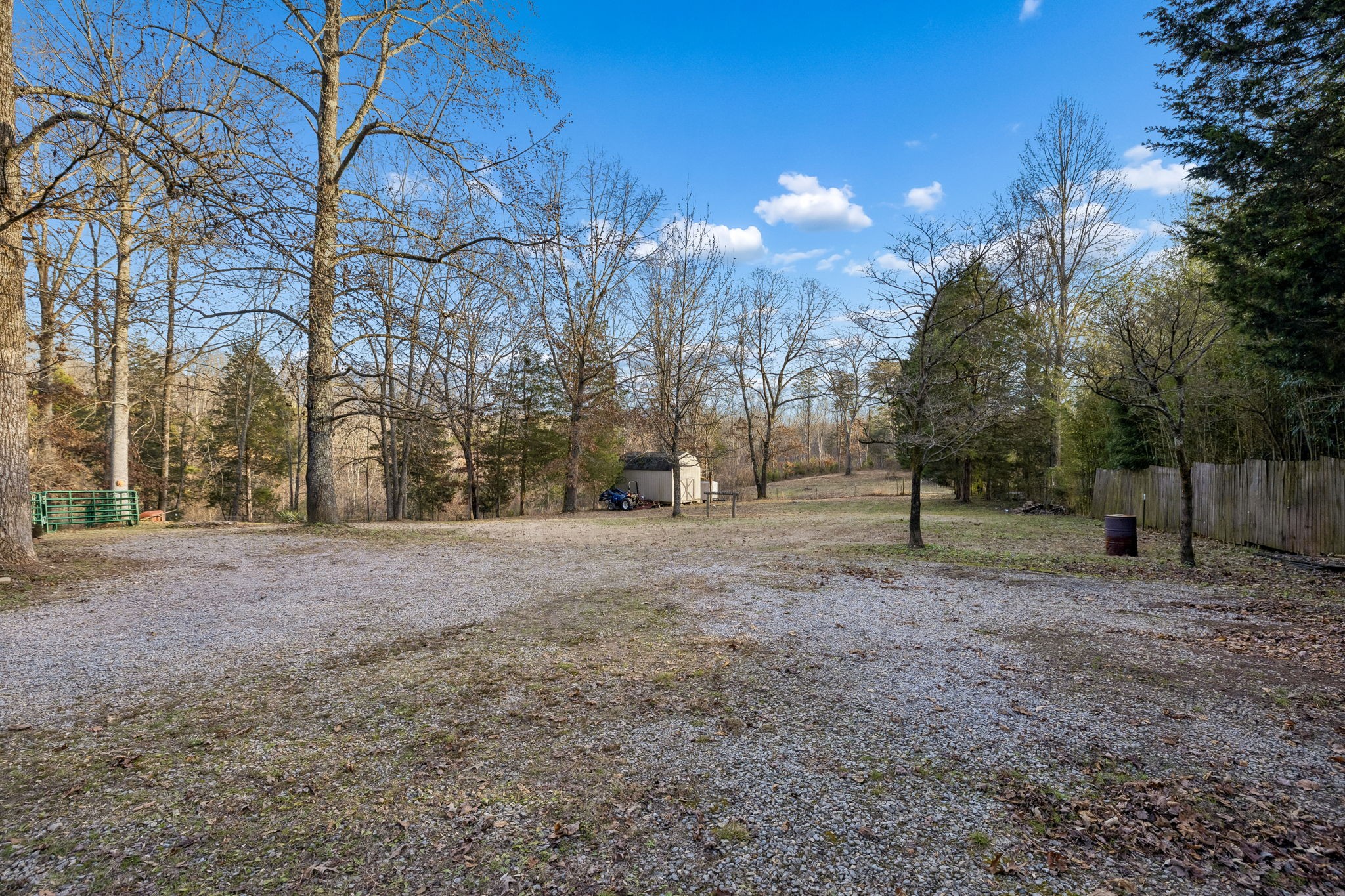 20151 Ben Fly Road Lyles, TN 37098 - Photo 72 of 98 a view of a yard with a tree