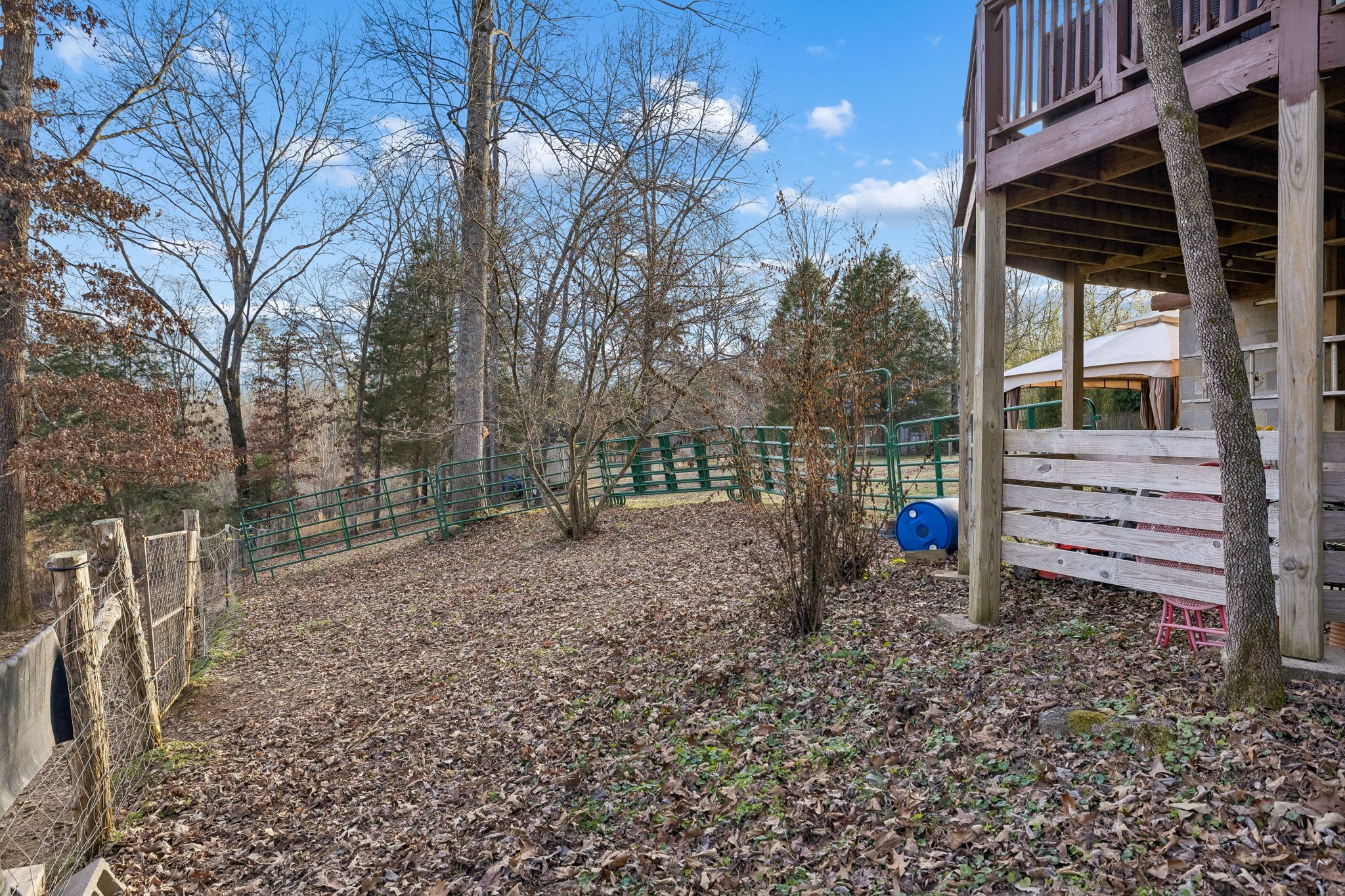 20151 Ben Fly Road Lyles, TN 37098 - Photo 74 of 98