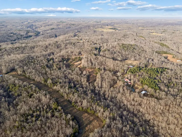 $675,000 | 20151 Ben Fly Road, Lyles, TN 37098