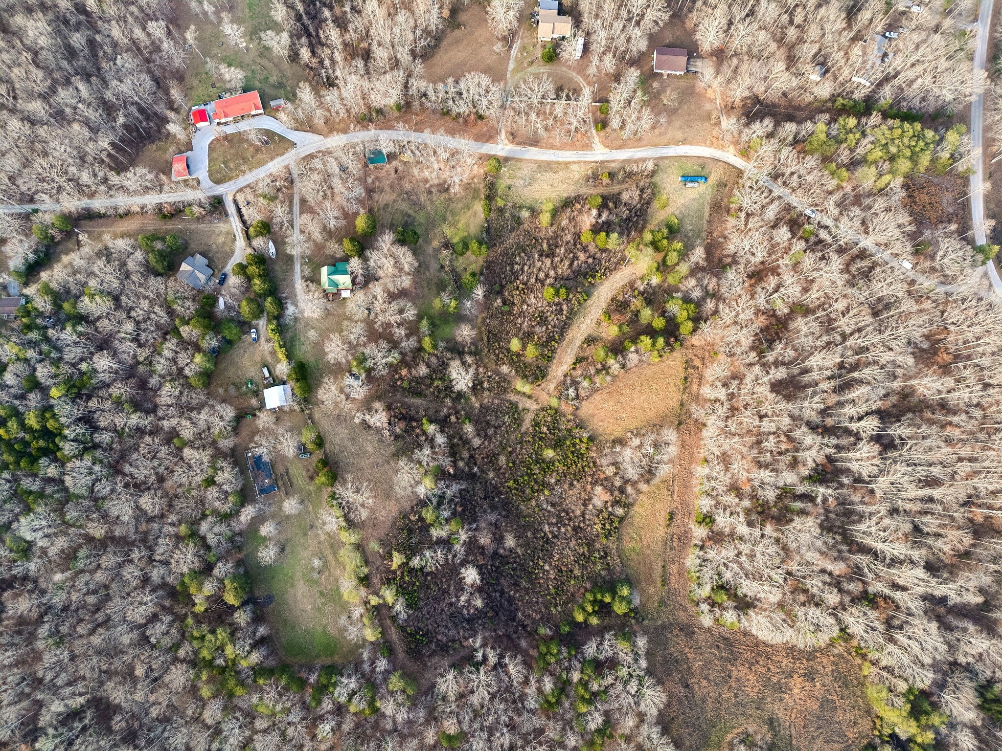 20151 Ben Fly Road Lyles, TN 37098 - Photo 91 of 98 a backyard of a house