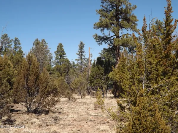 $330,000 | 4 X Parcel 2 Section 31, Overgaard, AZ 85933