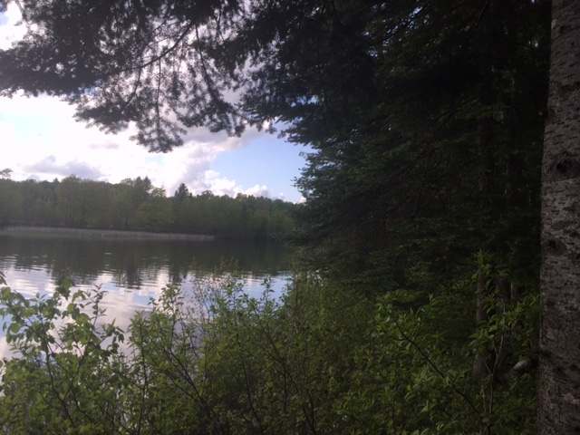 On Misty River Lane Rhinelander, WI 54501 - Photo 14 of 15 Gallery Image 14