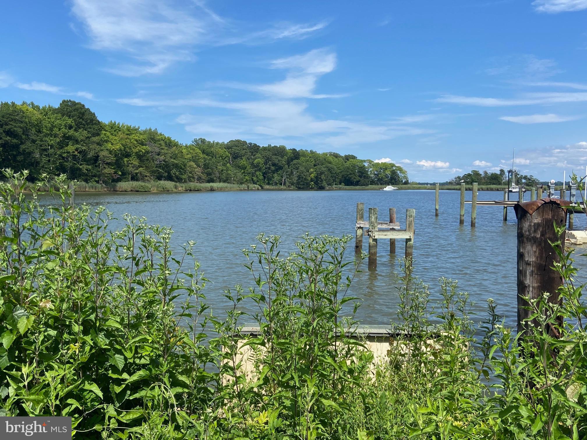 3635 Branhum Road Edgewater, MD 21037 - Photo 5 of 41 Amazing views! Deep water and ready for new pier!