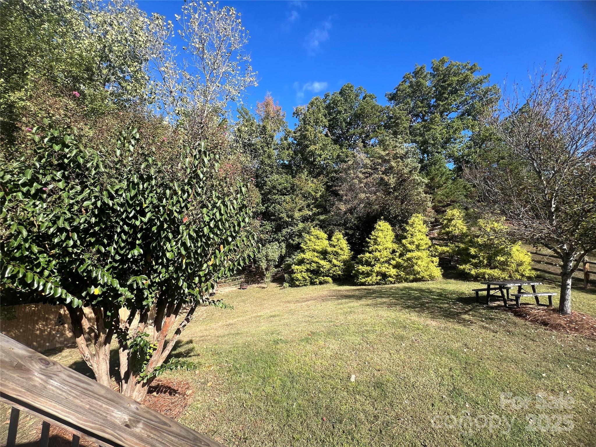 1761 Lakeland Trail Drive Tega Cay, SC 29708 - Photo 37 of 46 a view of outdoor space with trees