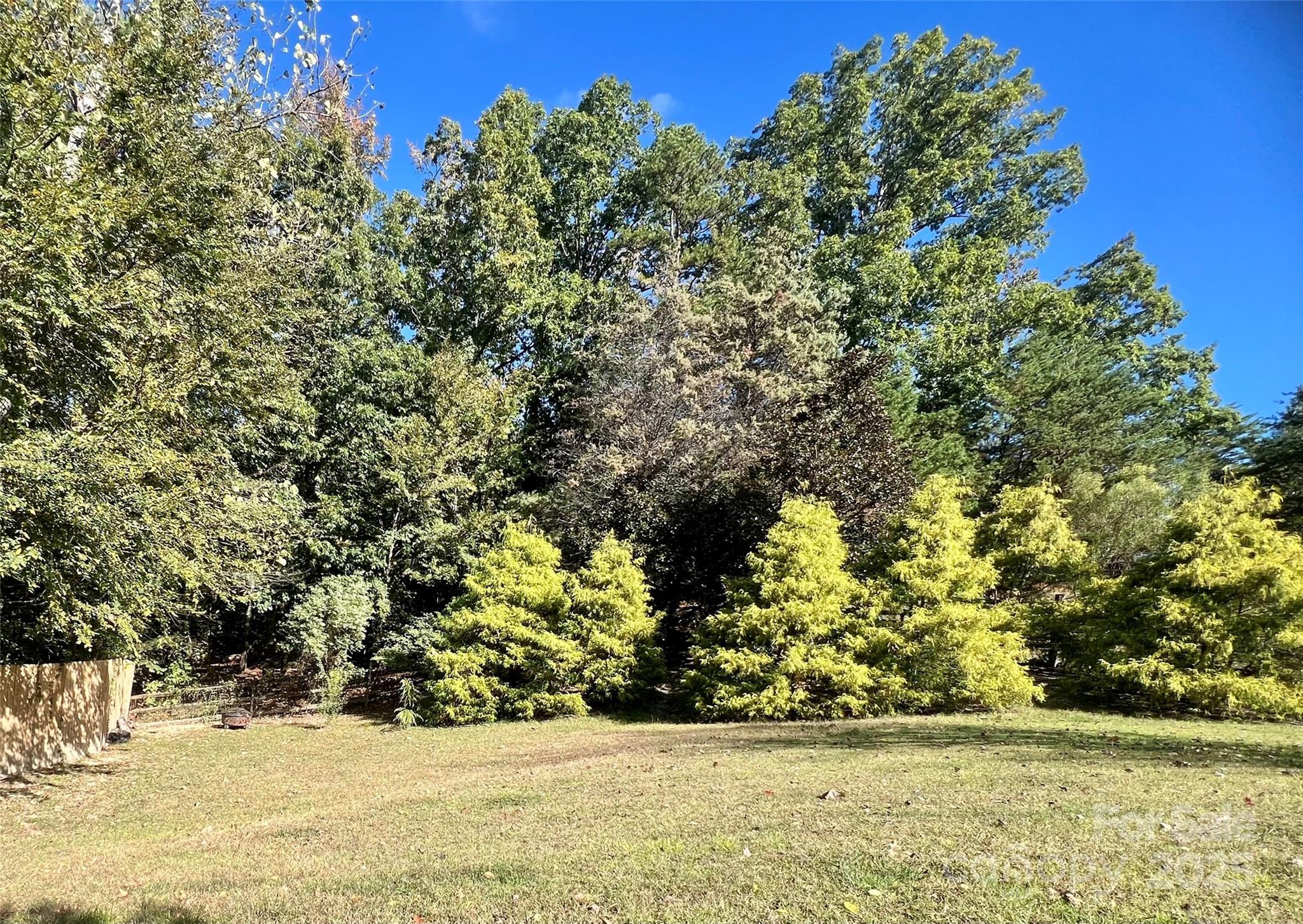 1761 Lakeland Trail Drive Tega Cay, SC 29708 - Photo 38 of 46 a view of yard covered with trees