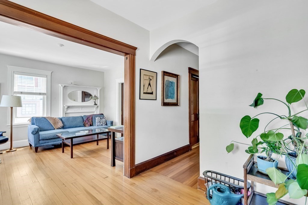 125 Sumner Road, Unit 1 Brookline, MA 02445 - Photo 5 of 22 a living room with furniture and a potted plant
