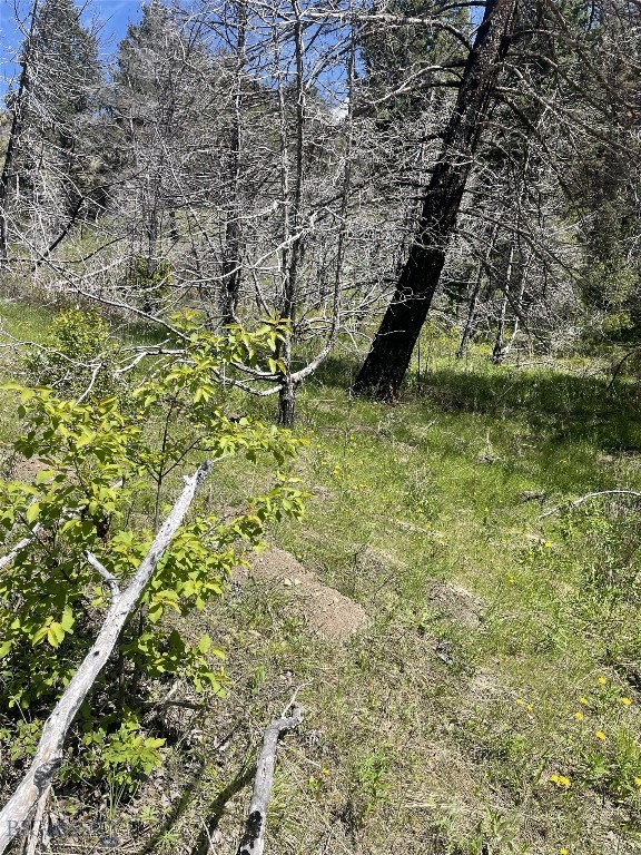 414 Skyline Road Three Forks, MT 59752 - Photo 36 of 37 Gallery Image 36
