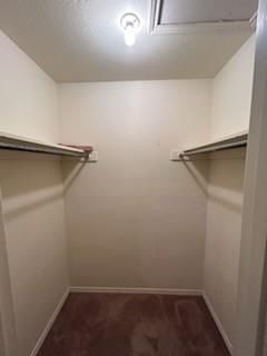 1302 Crescent Street Denton, TX 76201 - Photo 13 of 24 Walk in closet featuring dark carpet