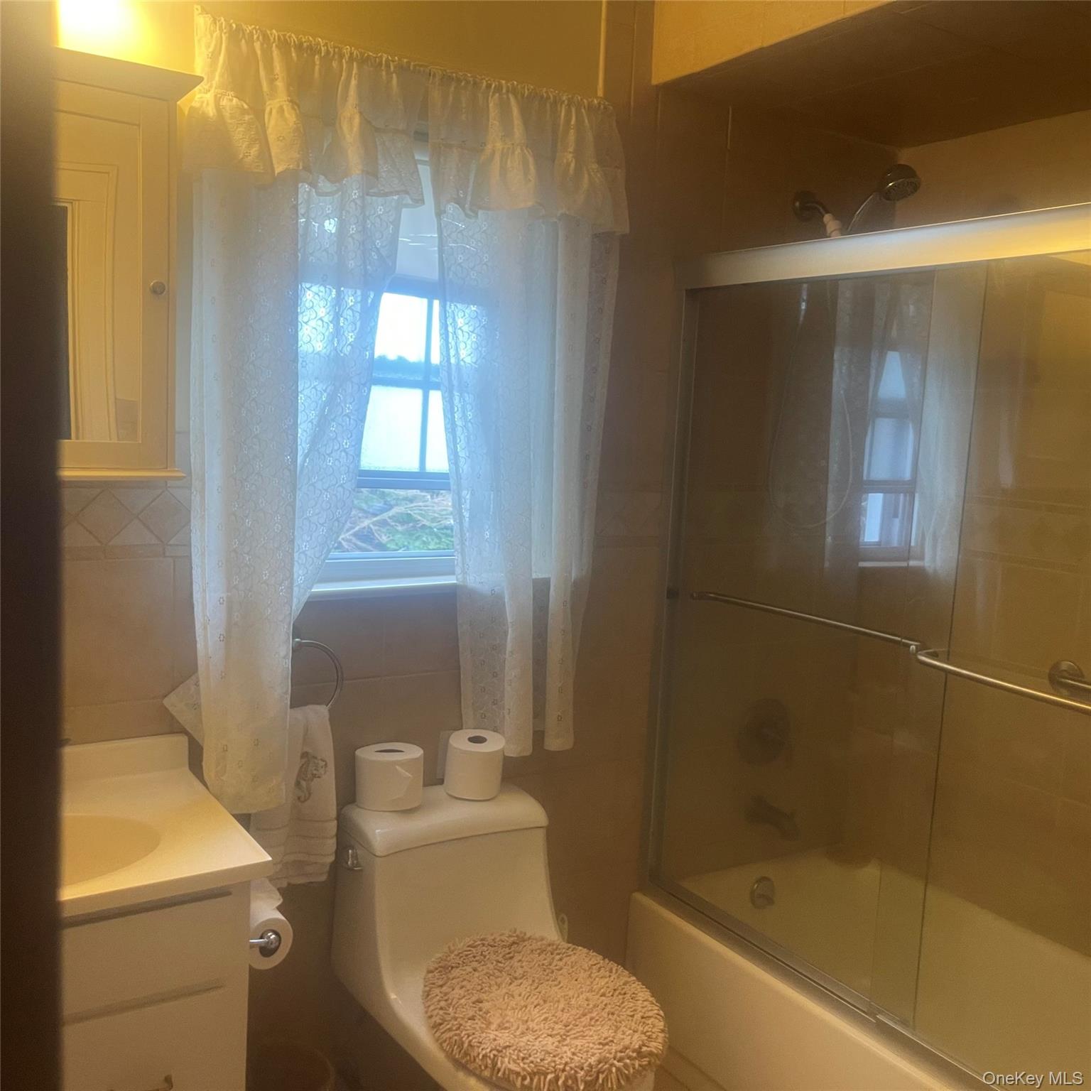 22 Eton Street Valley Stream, NY 11581 - Photo 20 of 30 a bathroom with a toilet a sink and shower