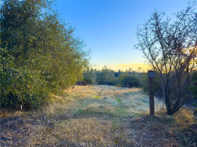 a view of a yard with trees in the background