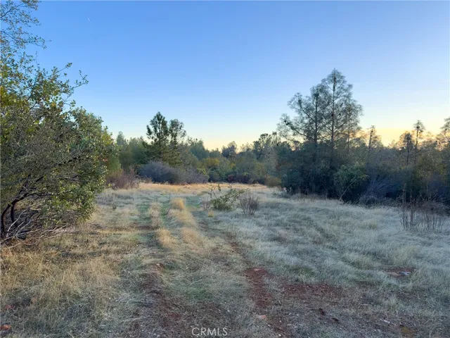a view of a dirt road with trees in the background
