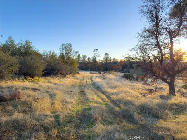 a view of back yard of the house