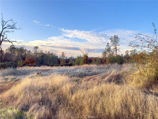a view of a lake from a yard
