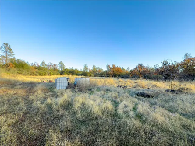 a view of a dry yard with trees