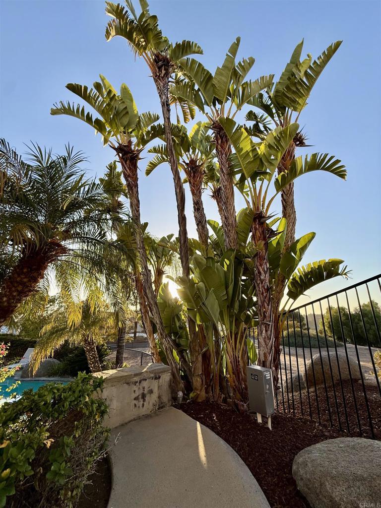2010 Coronado Alpine, CA 91901 - Photo 32 of 43
