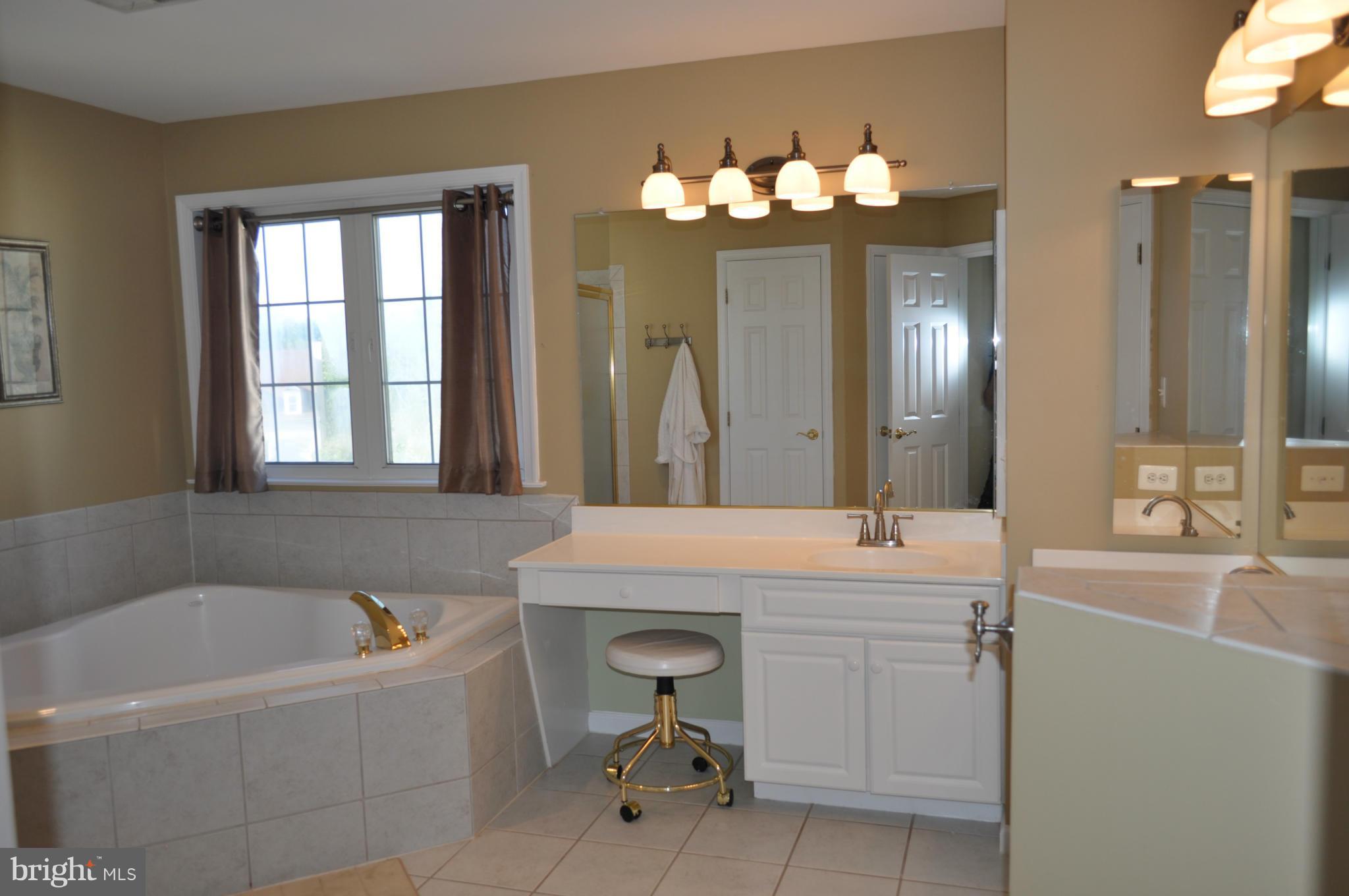 3907 Pender Spring Drive Fairfax, VA 22033 - Photo 15 of 30 a bathroom with a tub sink and mirror