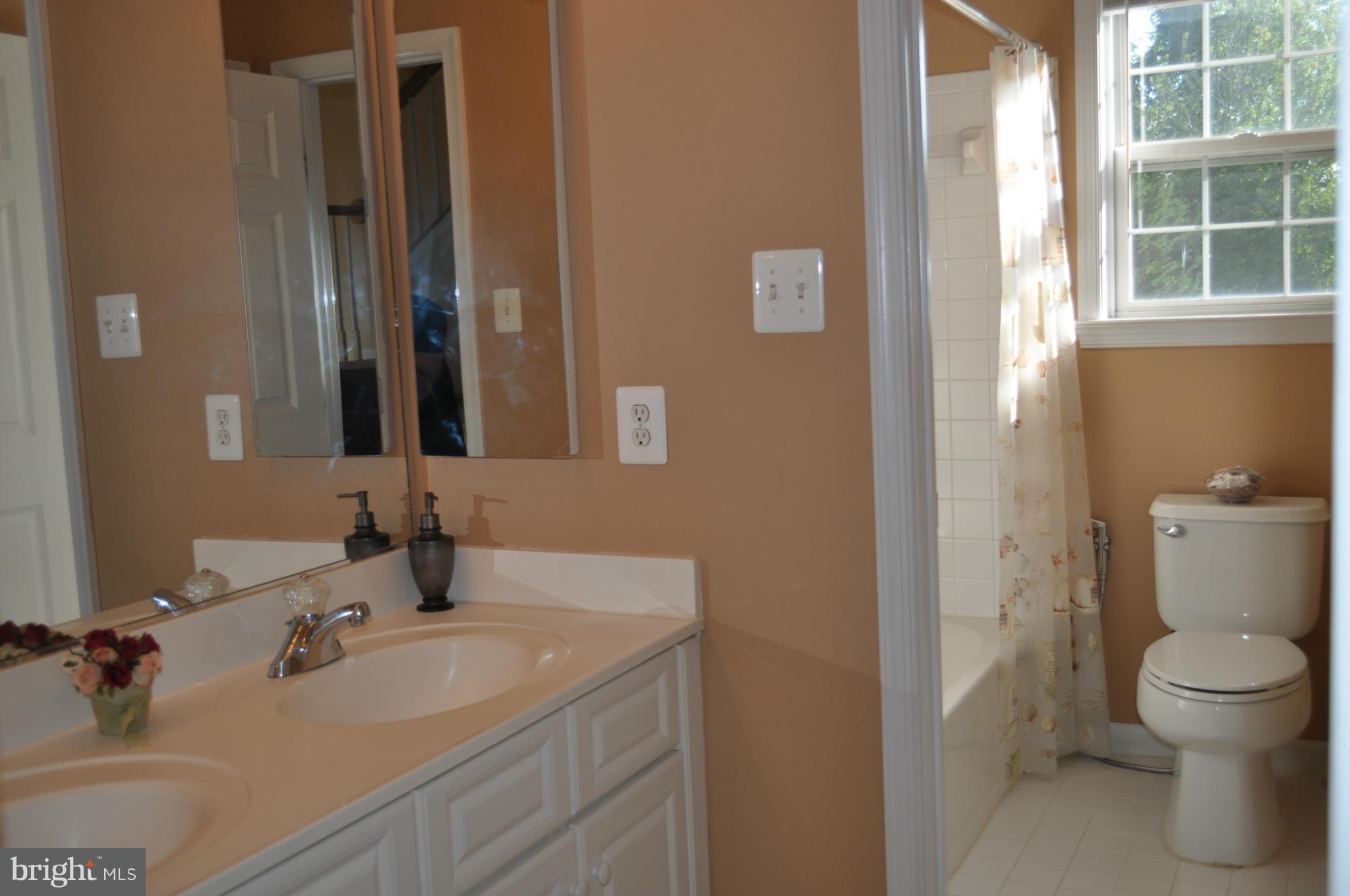 3907 Pender Spring Drive Fairfax, VA 22033 - Photo 18 of 30 a bathroom with a sink and a toilet