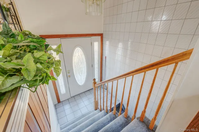 a close view of a garden