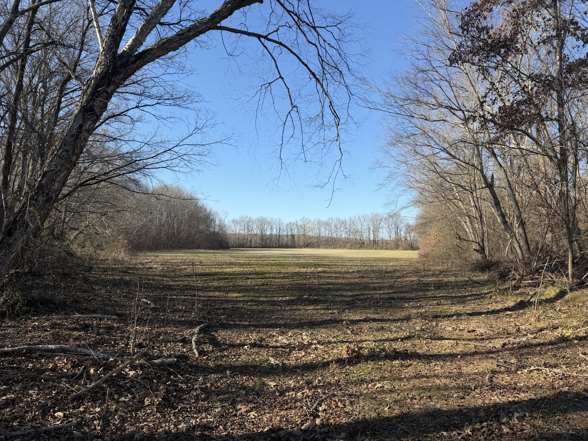 0 Harlon Iron Road Morris Chapel, TN 38361 - Photo 2 of 9 a view of a water pond