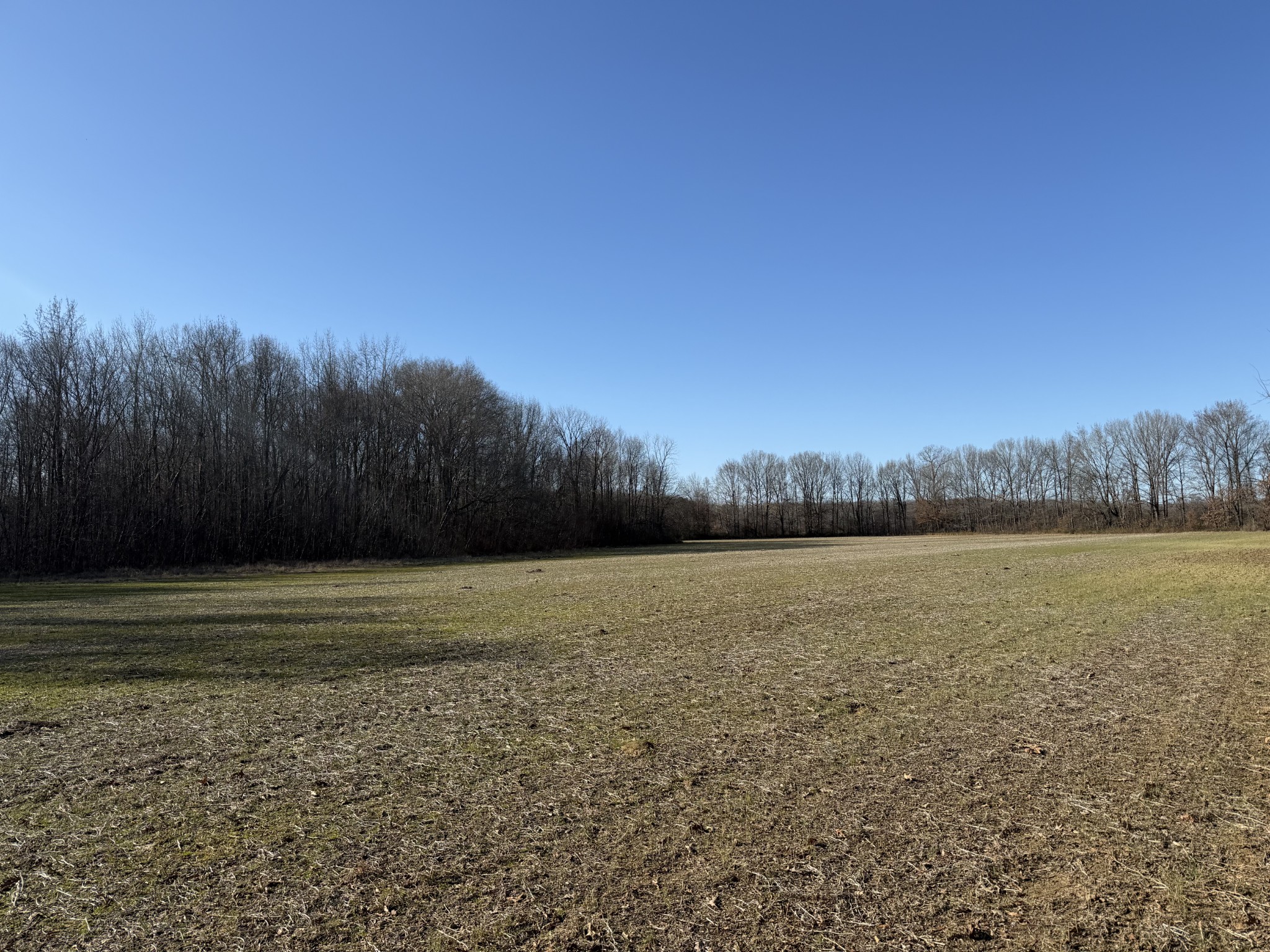 0 Harlon Iron Road Morris Chapel, TN 38361 - Photo 3 of 9 a view of an outdoor space and a yard