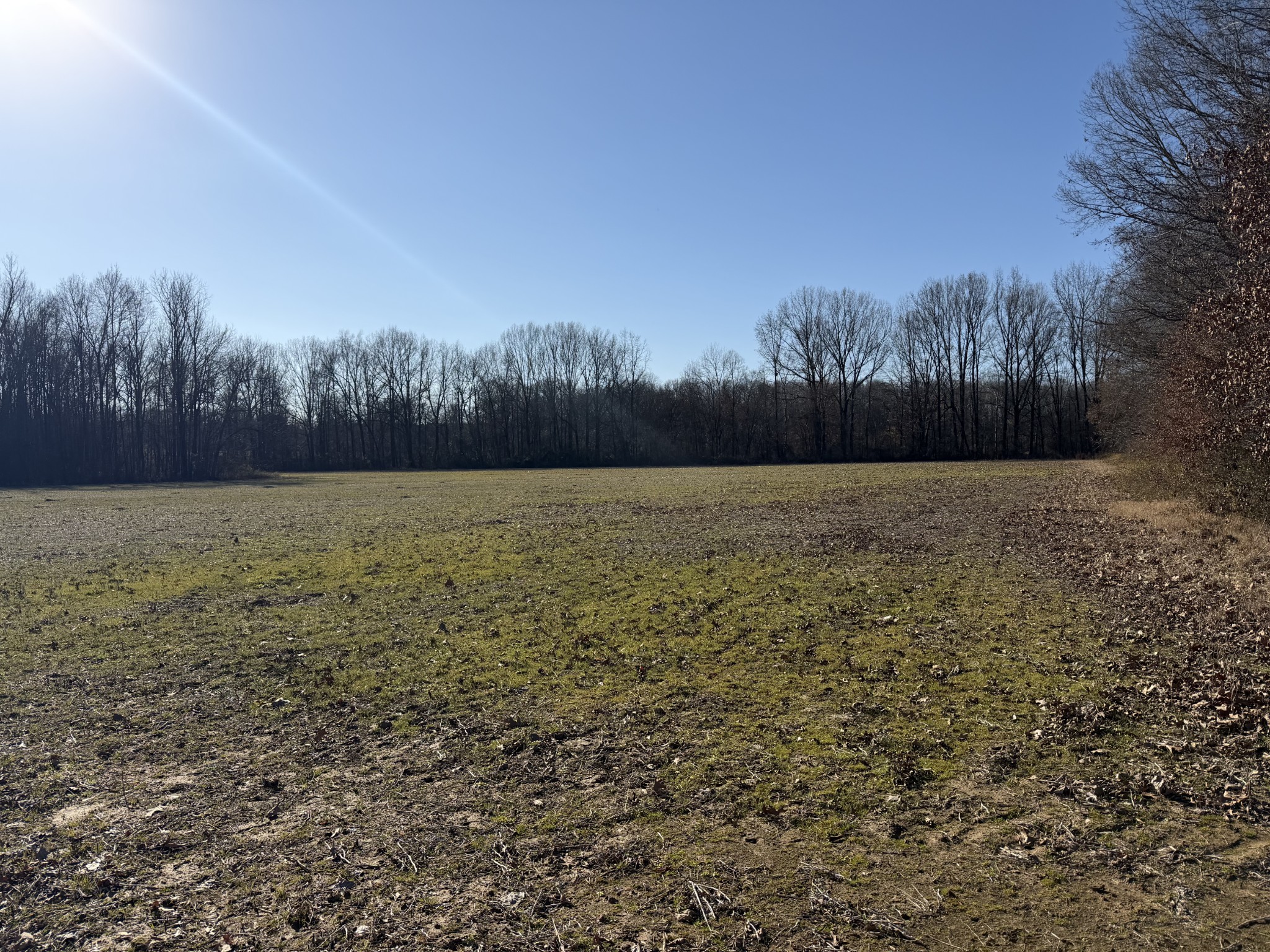 0 Harlon Iron Road Morris Chapel, TN 38361 - Photo 4 of 9 a view of an outdoor space and a yard