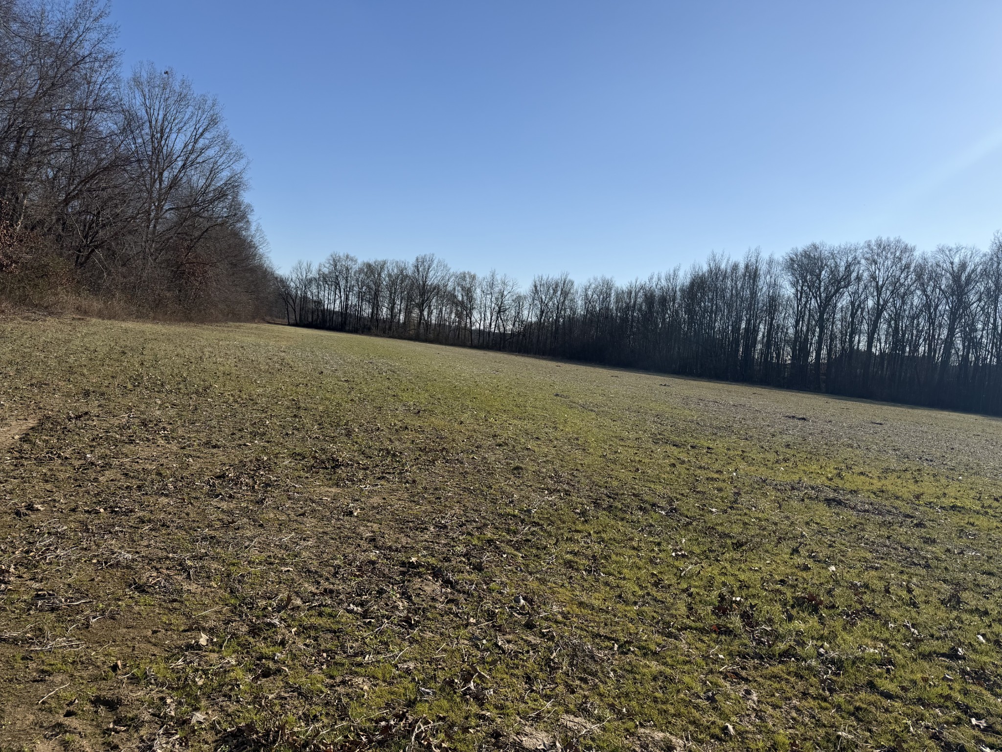 0 Harlon Iron Road Morris Chapel, TN 38361 - Photo 5 of 9 a view of patio and yard