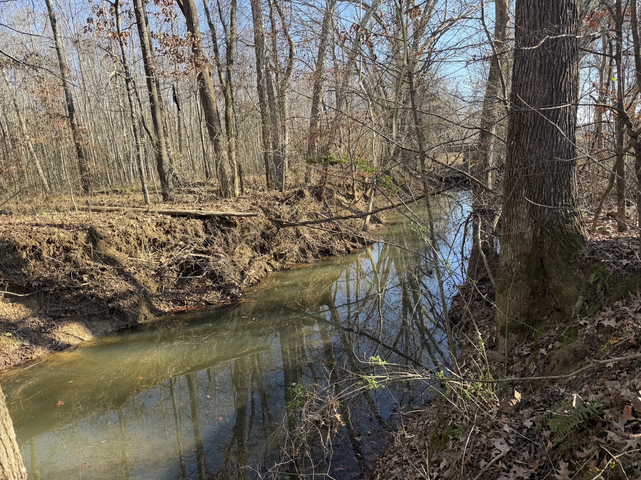 0 Harlon Iron Road Morris Chapel, TN 38361 - Photo 7 of 9