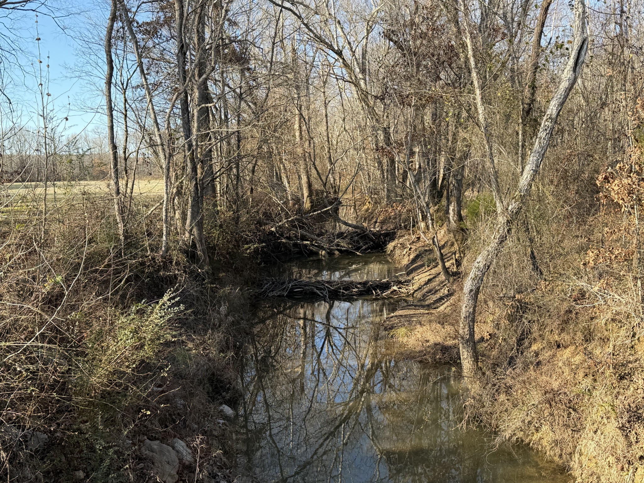 0 Harlon Iron Road Morris Chapel, TN 38361 - Photo 8 of 9 a view of outdoor space