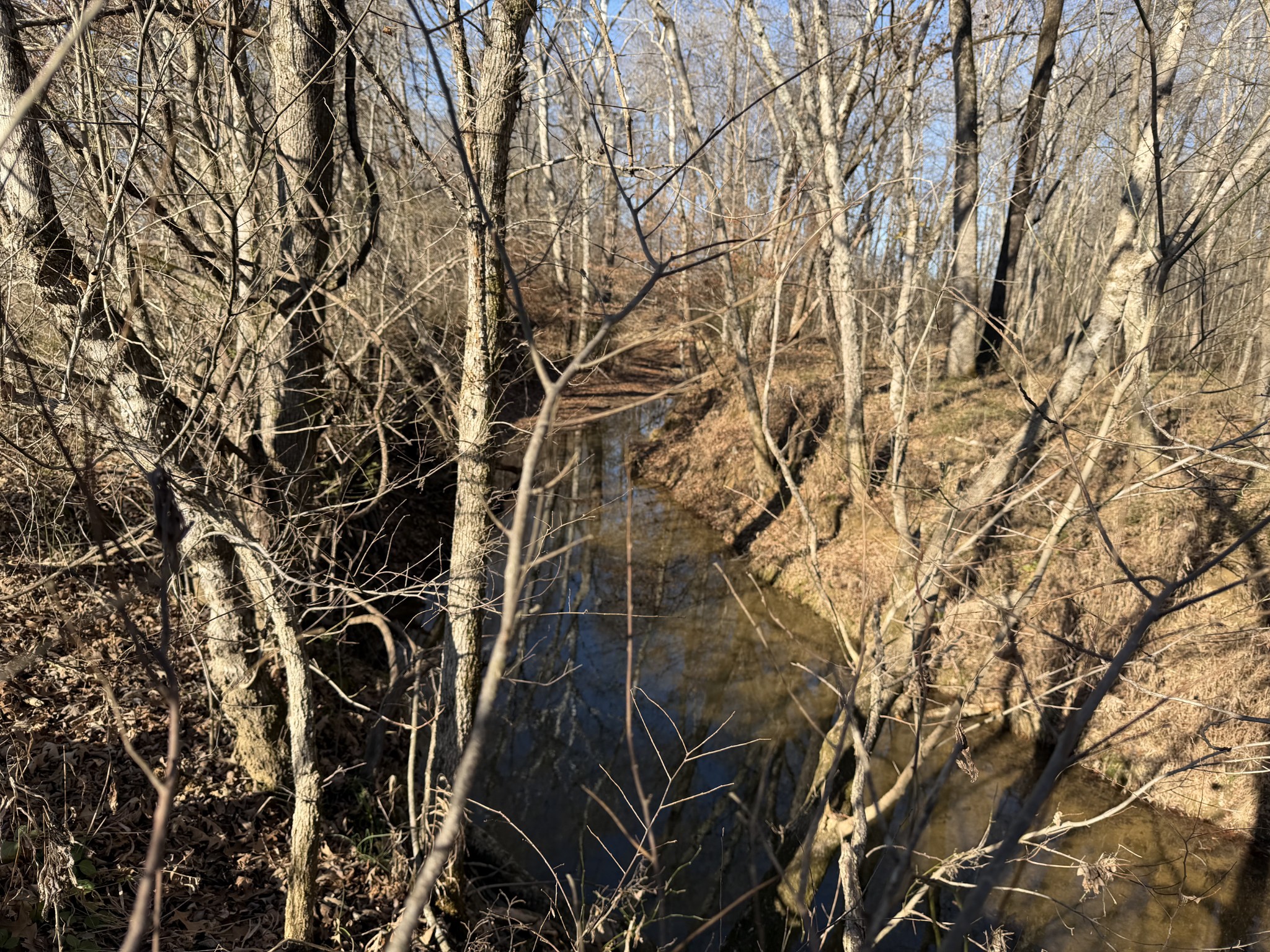 0 Harlon Iron Road Morris Chapel, TN 38361 - Photo 9 of 9 unknown