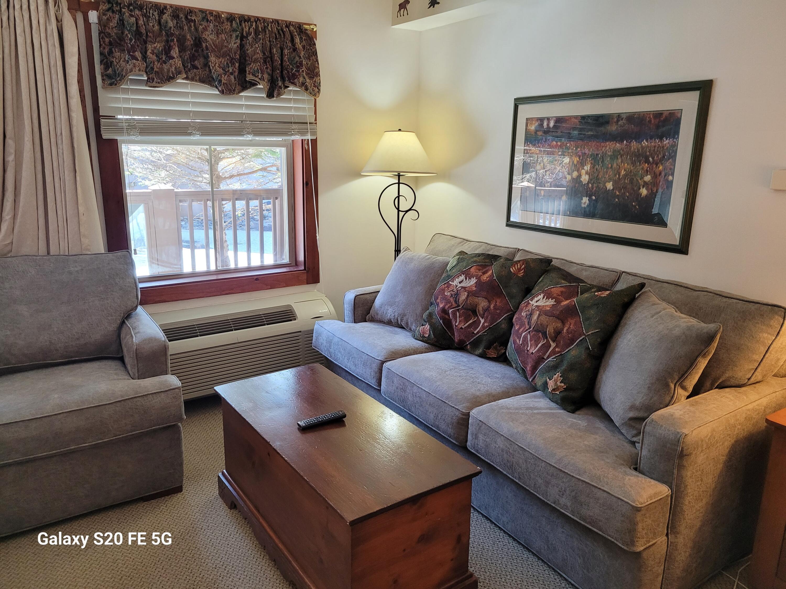 7 Rimfire Road, Unit 153 Snowshoe, WV 26209 - Photo 4 of 18 Gallery Image 4