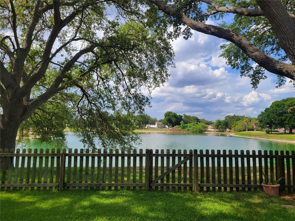 2011 Cattleman Drive Brandon, FL 33511 - Photo 3 of 40 a view of a yard with wooden fence