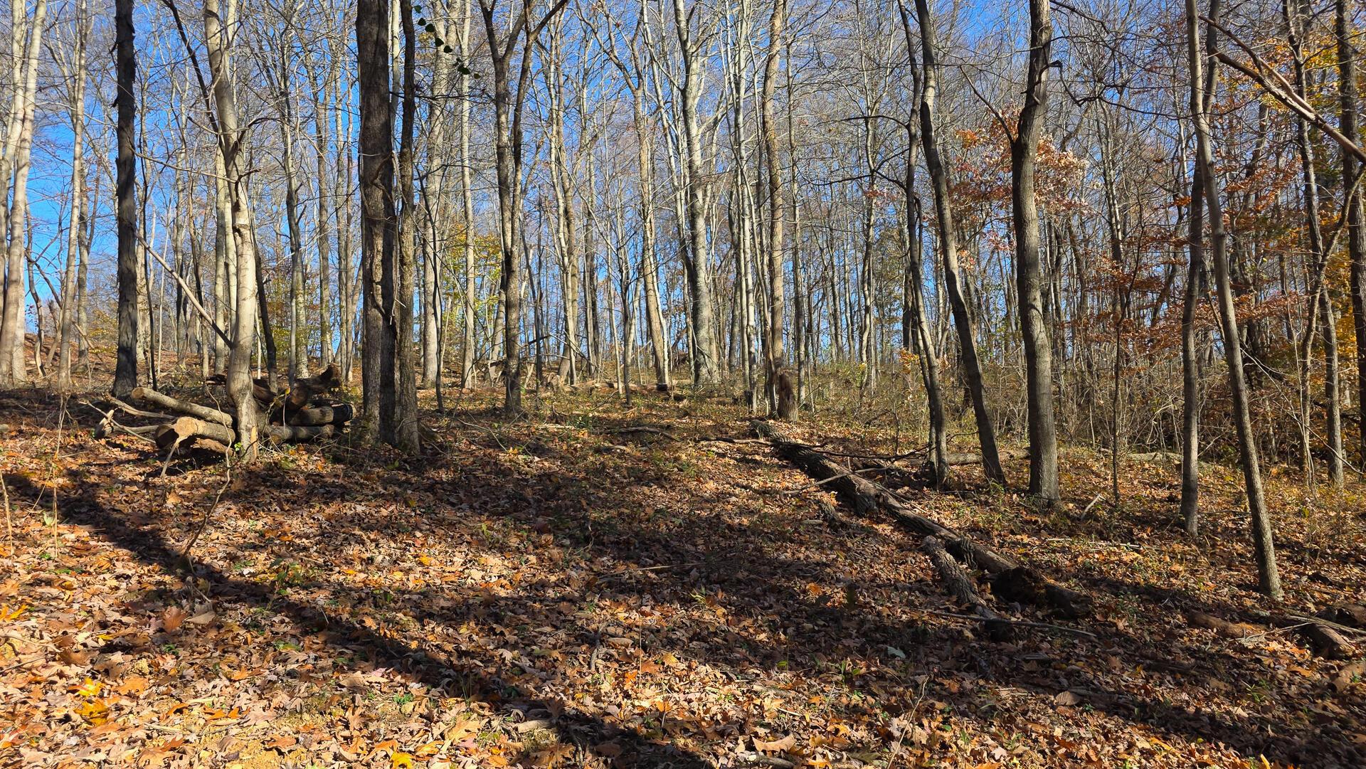 680 Nibert Road, Unit PONDS POPLAR RIDGE TRACT 10) Gallipolis, OH 45631 - Photo 21 of 46 CT-21