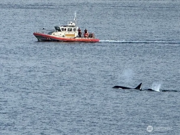 $2,150,000 | 1374 Alki Avenue Southwest, Unit 400, Seattle, WA 98116