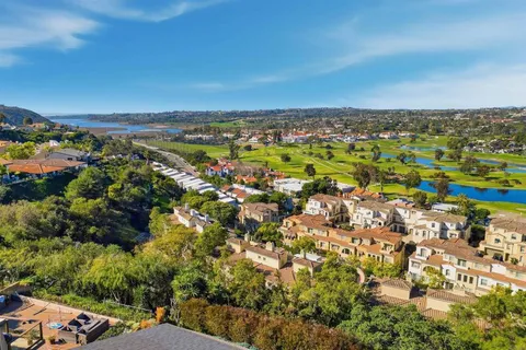 an aerial view of residential houses with outdoor space and trees