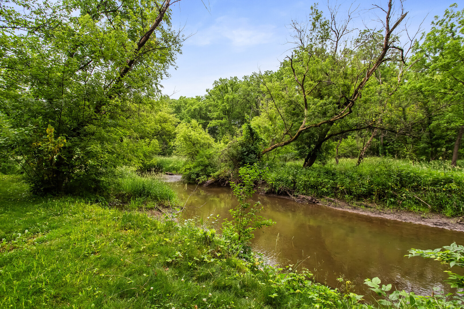 4N159 Wild Rose Road St. Charles, IL 60174 - Photo 45 of 48