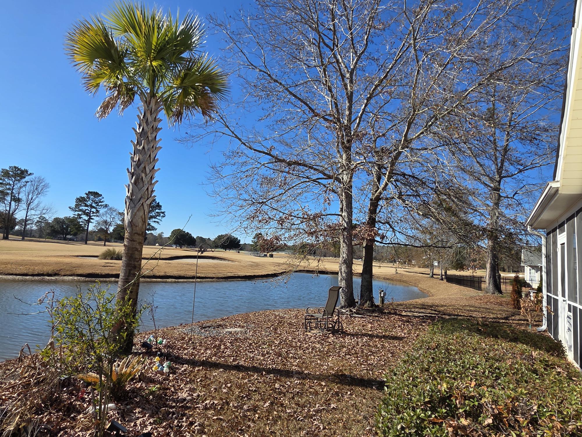 1151 Blue Heron Point Manning, SC 29102 - Photo 6 of 41