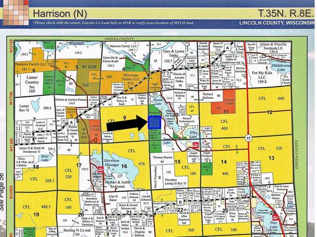 40-acres Hilts Lake Road Rhinelander, WI 54501 - Photo 10 of 18 Gallery Image 10