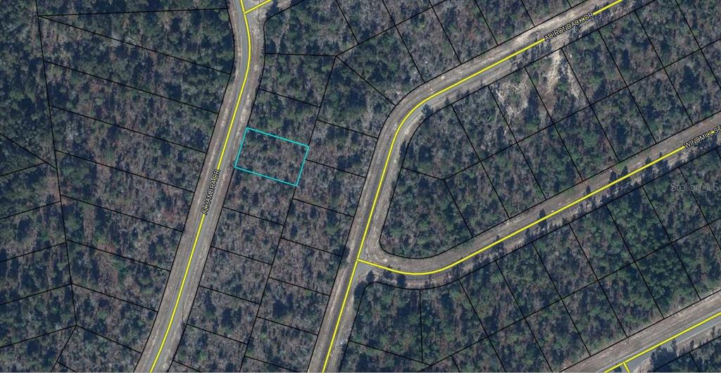 10 Alhambra Drive Chipley, FL 32428 - Photo 5 of 7 a view of a forest with a tree