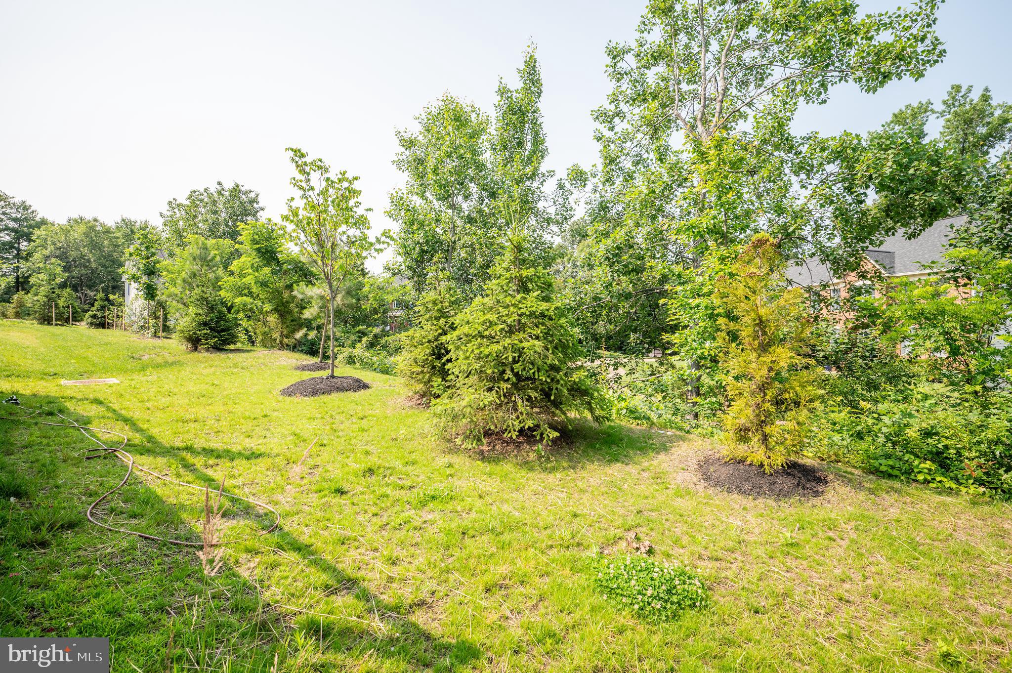 6233 McConnell Lane Springfield, VA 22152 - Photo 10 of 58 a view of a yard with swimming pool