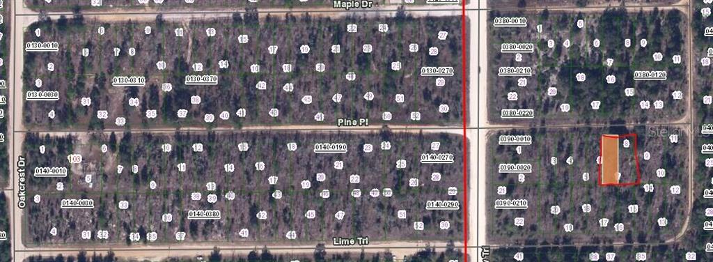 0 Pine Place Interlachen, FL 32148 - Photo 2 of 3