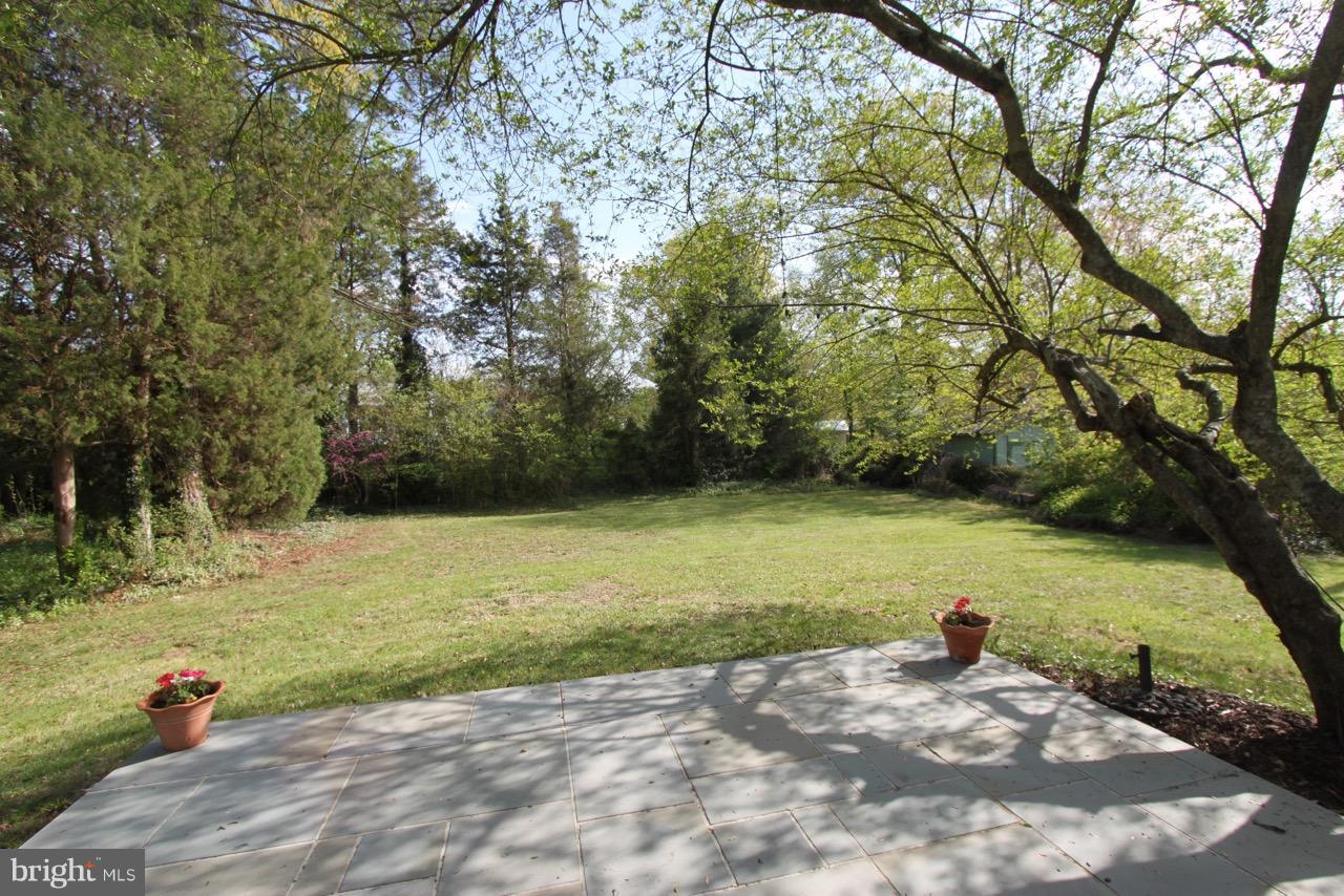 1009 Collingwood Road Alexandria, VA 22308 - Photo 24 of 30 Slate patio and nice level lot