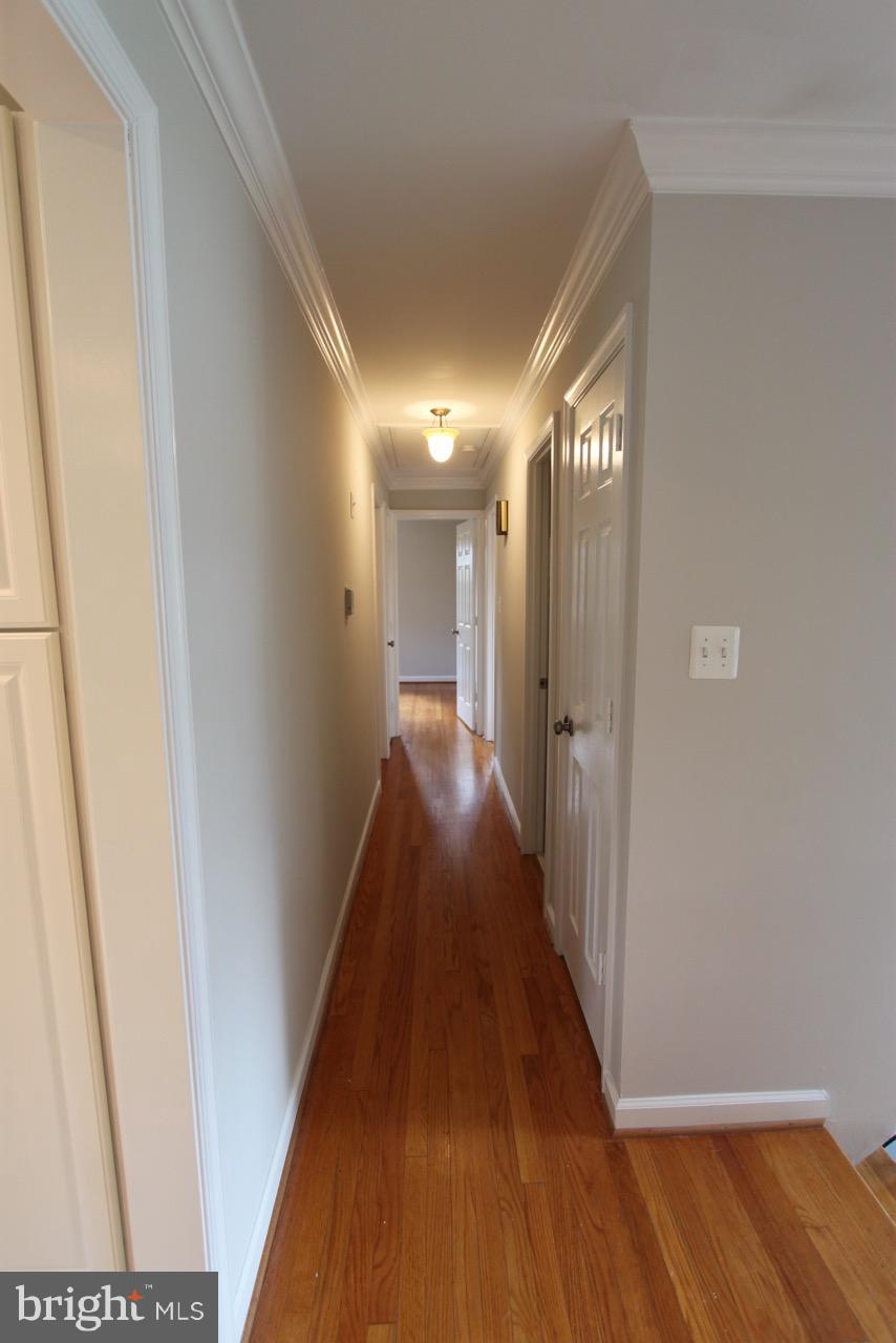 1009 Collingwood Road Alexandria, VA 22308 - Photo 10 of 30 Interior (General)