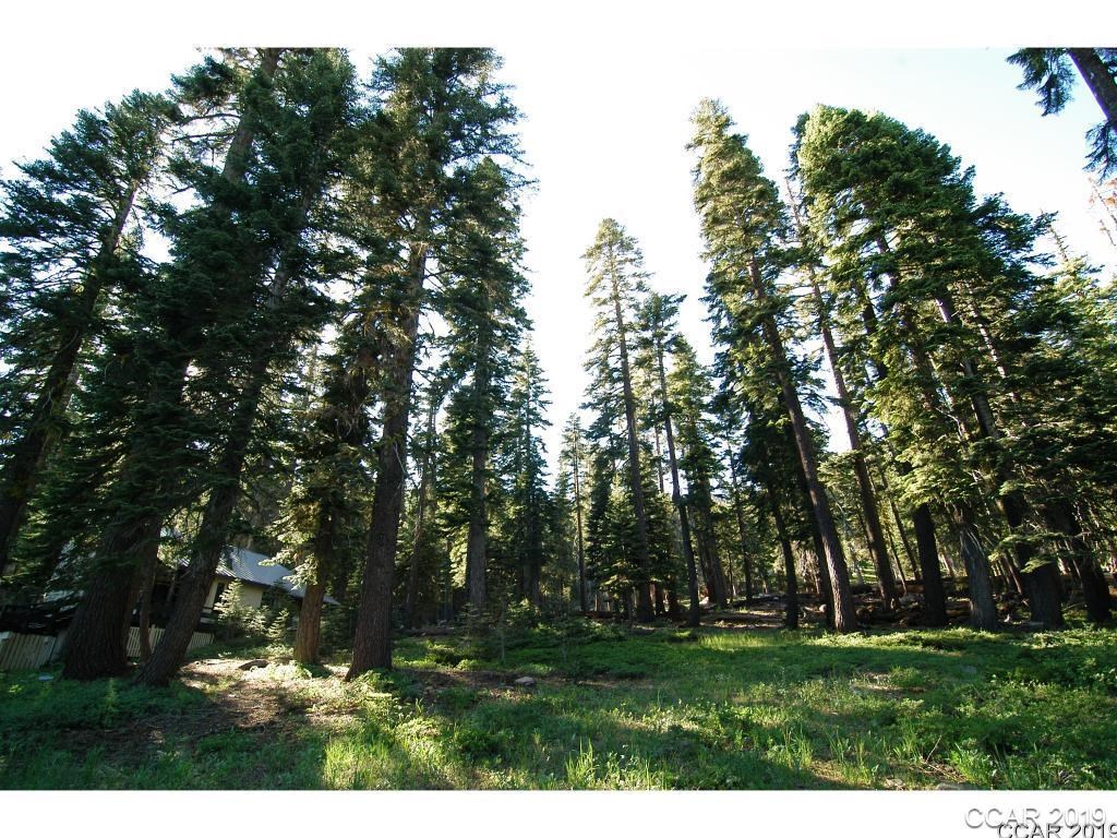 74 Spring Cliff Road Bear Valley, CA 95223 - Photo 1 of 1 a backyard of a house with a trees